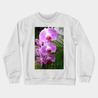 Purple Orchid Crewneck Sweatshirt